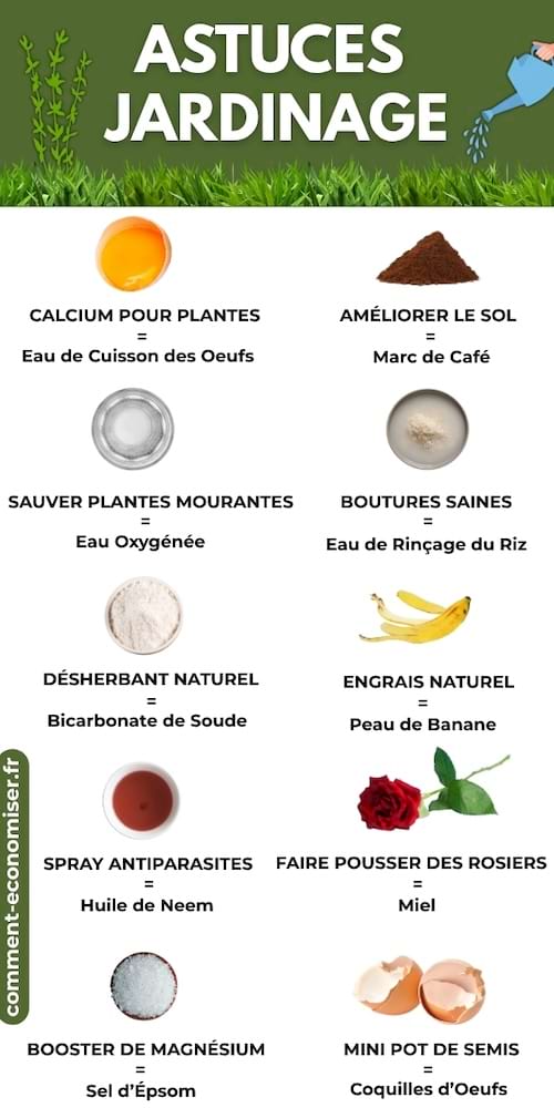 Image présentant 12 astuces de jardinage maison avec des ingrédients naturels.
