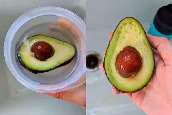 Avocat coupé en deux, conservé dans de l’eau.
