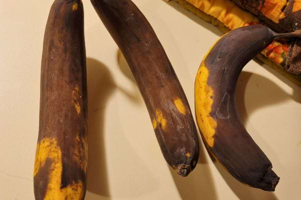 Bananes très mûres avec la peau noircie.