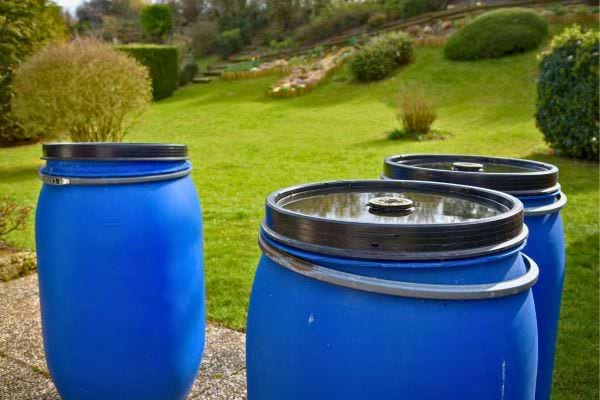 Trois barils bleus remplis d’eau de pluie.