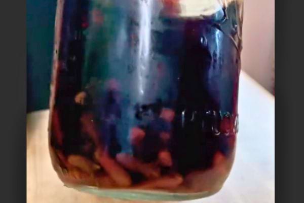 Bocal rempli de clous de girofle macérés dans un liquide.