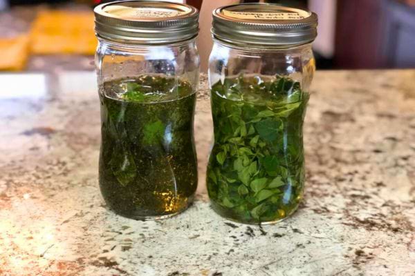 Deux bocaux remplis d’origan dans de l’huile.