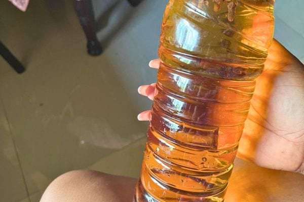 Bouteille d’eau infusée aux clous de girofle maison.