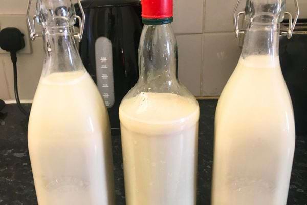 Trois bouteilles de lait fermenté maison en verre.