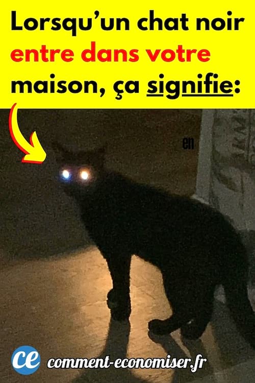 Un chat noir qui entre dans la maison et la signification