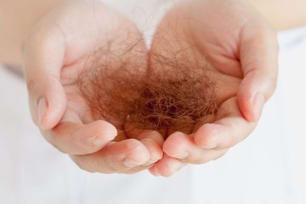 Poignée de cheveux tombés tenue dans les mains.