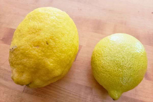Deux citrons jaunes posés sur une table en bois.