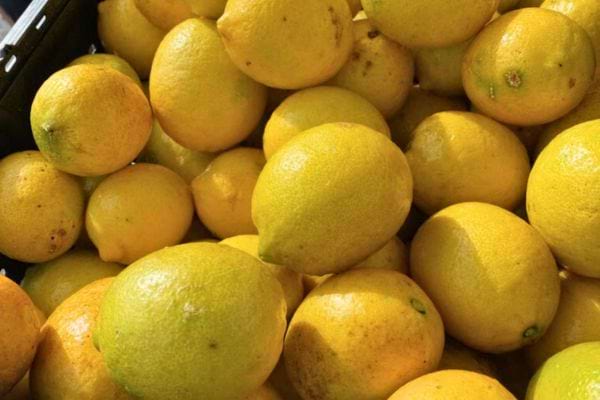 Citrons jaunes empilés en vrac.