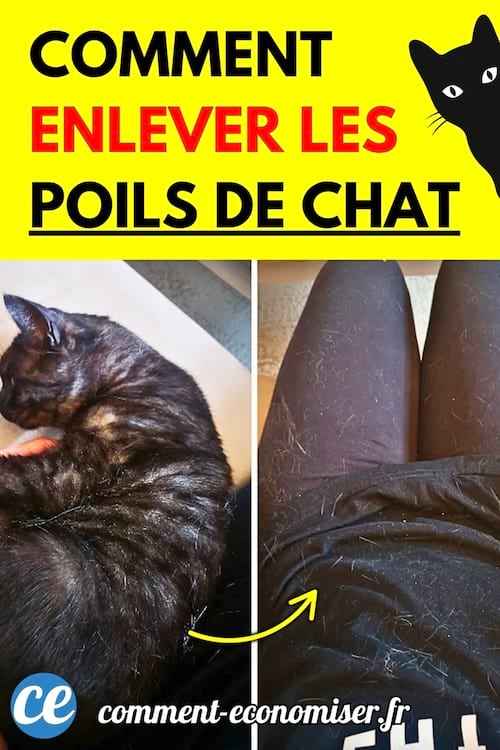 Un chat noir et gris allongé sur une surface claire à côté d’un pantalon noir couvert de poils.