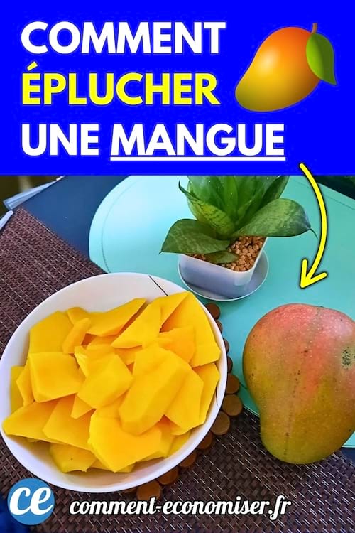 Une main tient une mangue partiellement pelée à côté d’un bol rempli de morceaux de mangue sur une table.
