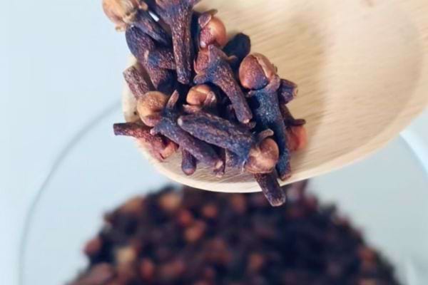 Cuillère en bois remplie de clous de girofle secs.