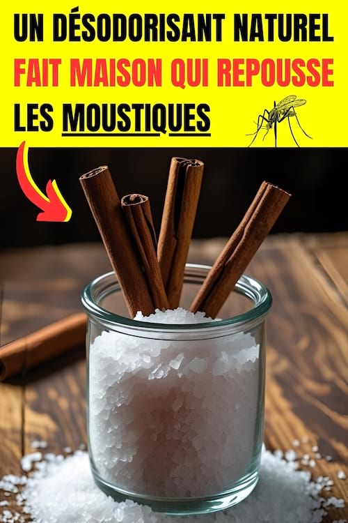 Un désodorisant maison à la cannelle avec du sel contre les moustiques 