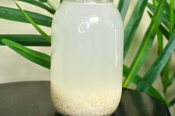 Eau de riz dans un bocal