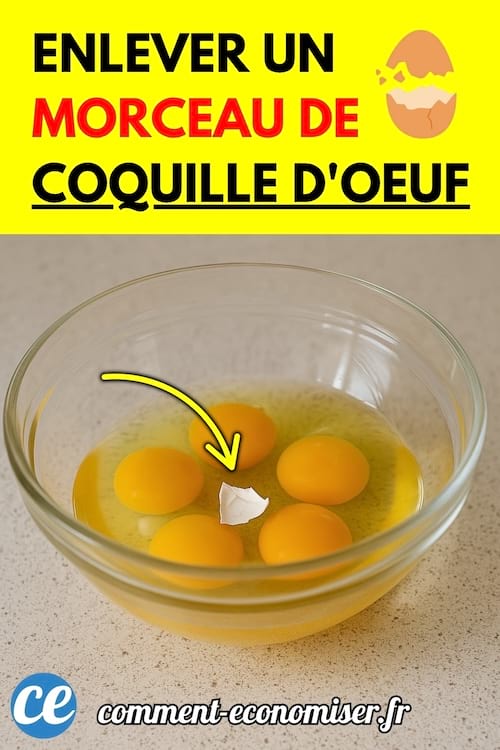 Un bol contenant des œufs cassés avec un morceau de coquille tombé dans le jaune.