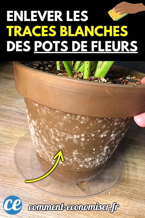 Un pot de fleur en terre cuite avec des traces blanches de calcaire visibles à sa surface.