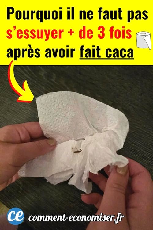 Un papier toilette pour s'essuyer les fesses après avoir fait caca