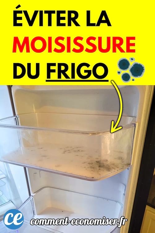 Le compartiment d’un réfrigérateur avec des traces visibles de moisissures.