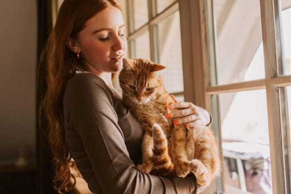 Une femme tient un chat roux dans ses bras près d’une fenêtre, dans une ambiance chaleureuse.