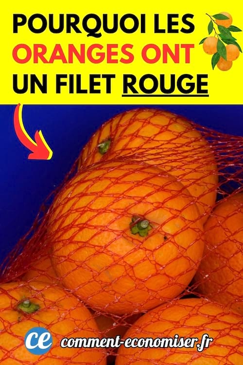 Des oranges dans un filets rouge au supermarché