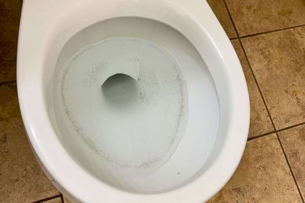 Traces visibles de calcaire au fond des toilettes.