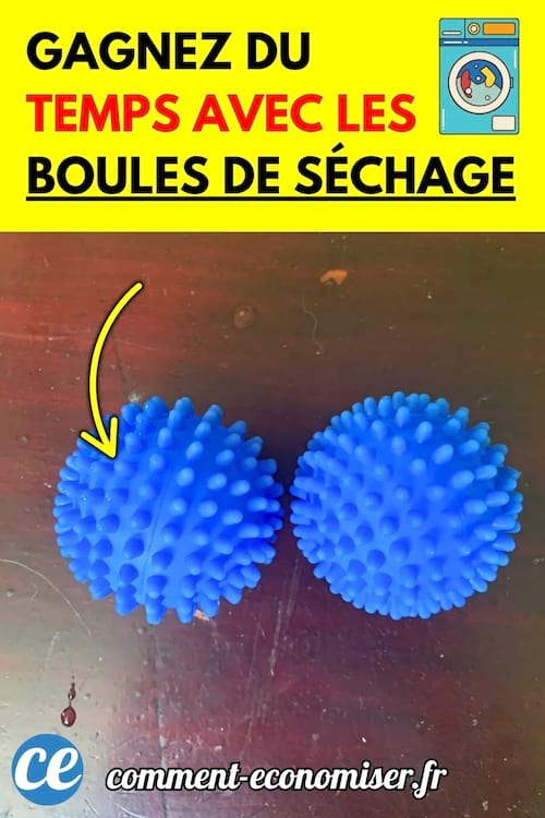 Deux boules bleues hérissées posées sur une table en bois foncé.