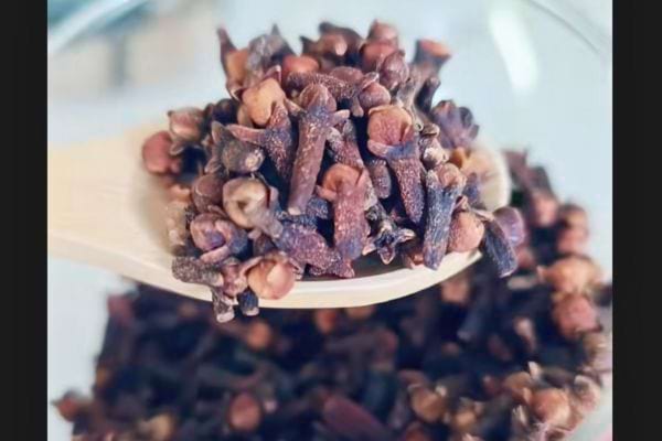 Clous de girofle secs dans une cuillère au-dessus d’un bocal.