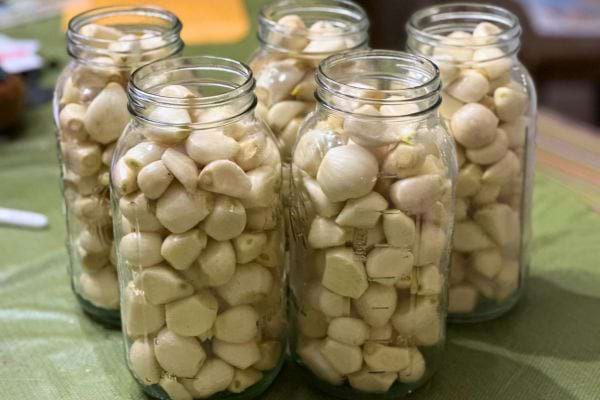 Gousses d’ail entières pelées dans des bocaux en verre.