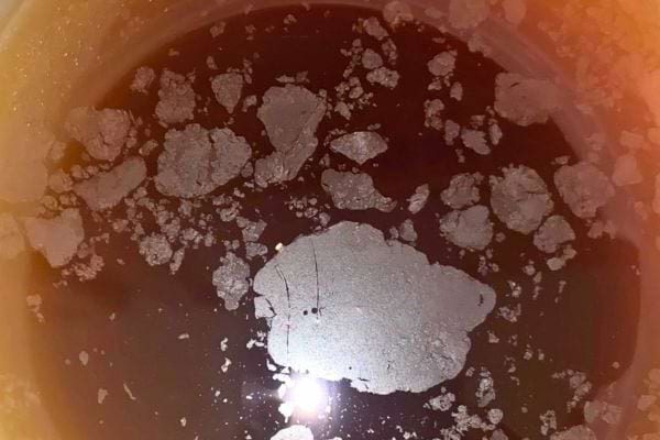 Dépôt blanchâtre dans une infusion de clous de girofle.