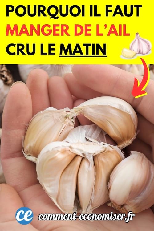 De l'ail cru dans la main à manger au quotidien 