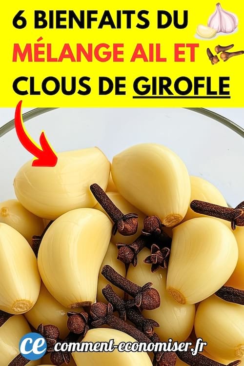 Des gousses d'ail et des clous de girofle dans un bol en verre