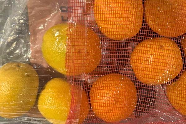 Filet contenant des oranges et des citrons jaunes.