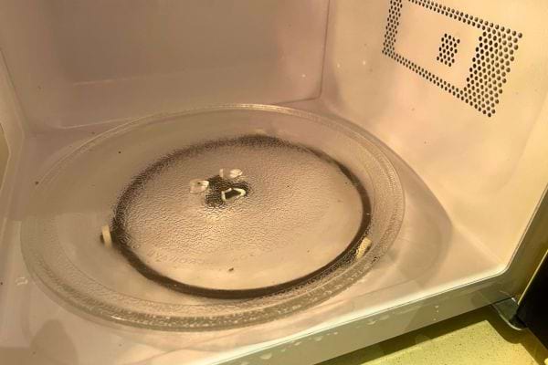 Plateau tournant du micro-ondes encore humide.