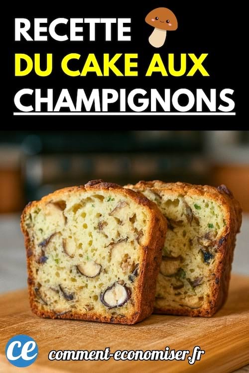Deux tranches de cake moelleux aux champignons et herbes, coupées et posées sur une planche en bois.
