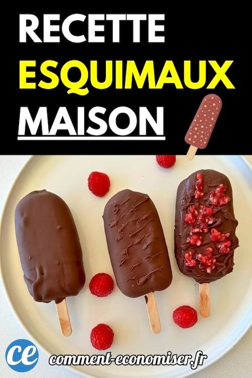 Trois esquimaux maison enrobés de chocolat sur une assiette avec des framboises.