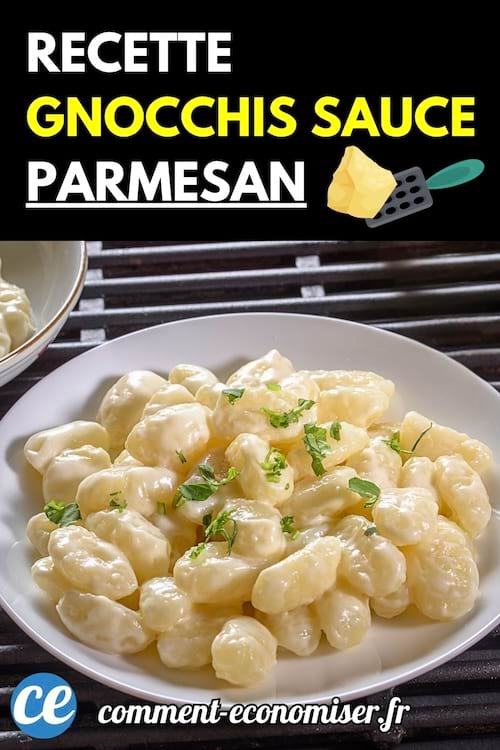 Une assiette de gnocchis nappés d’une sauce crémeuse au parmesan, garnie de persil.