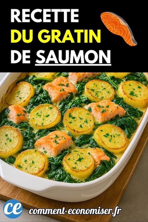 Un gratin de saumon, pommes de terre et épinards frais, cuit au four et servi dans un plat blanc rectangulaire.