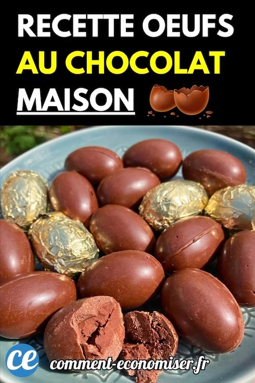 Œufs en chocolat enveloppés et non enveloppés dans une assiette posée dans l’herbe.