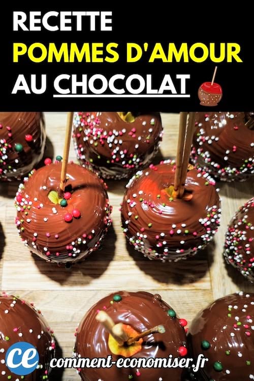 Pommes enrobées de chocolat avec des vermicelles colorés, plantées sur des bâtonnets en bois.