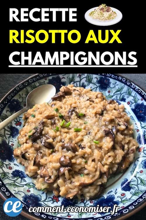 Un risotto crémeux aux champignons servi dans une assiette fleurie avec une cuillère en métal.