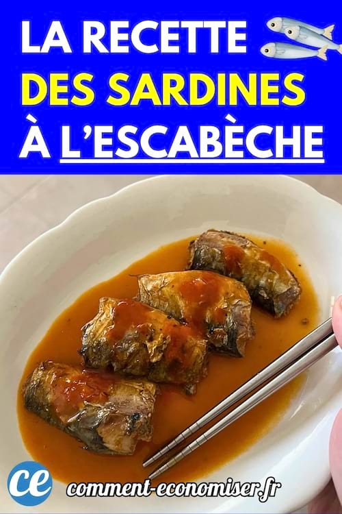Assiette blanche contenant des sardines en sauce rouge, avec baguettes posées sur le bord.