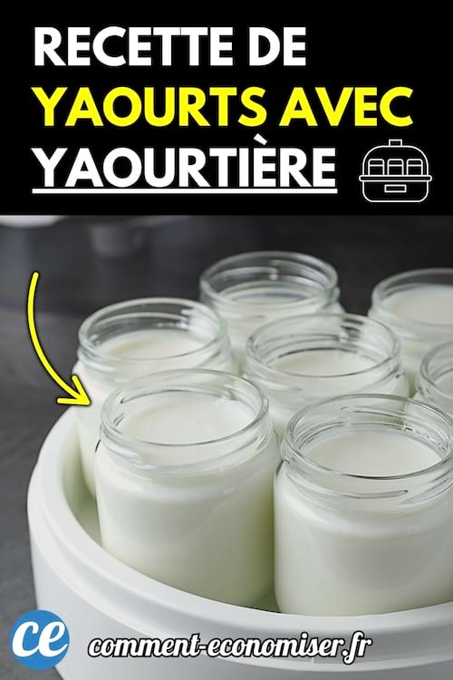 Yaourts faits maison dans des pots en verre posés dans une yaourtière.