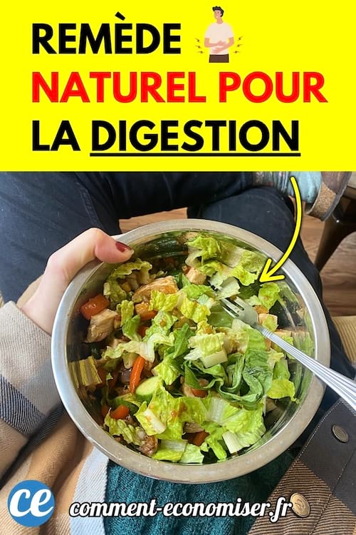 Un bol en métal rempli d’une salade verte avec des morceaux de légumes, tenu sur les genoux.