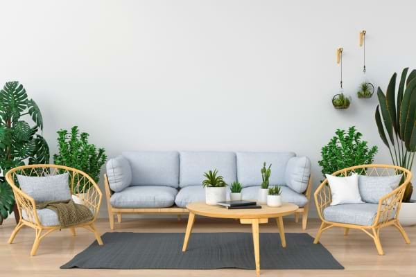 Salon décoré de nombreuses plantes vertes.