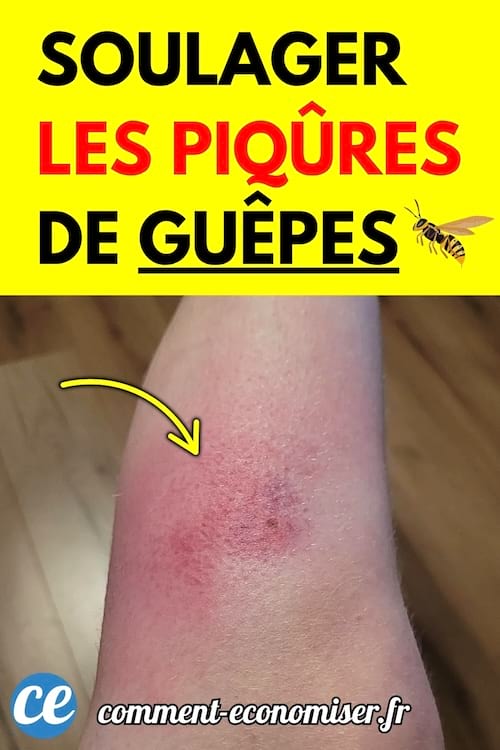 Une assiette blanche remplie de ceviche de poisson avec coriandre, piments et sauce.