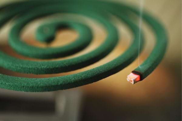 Spirale antimoustique allumée dégageant de la fumée.