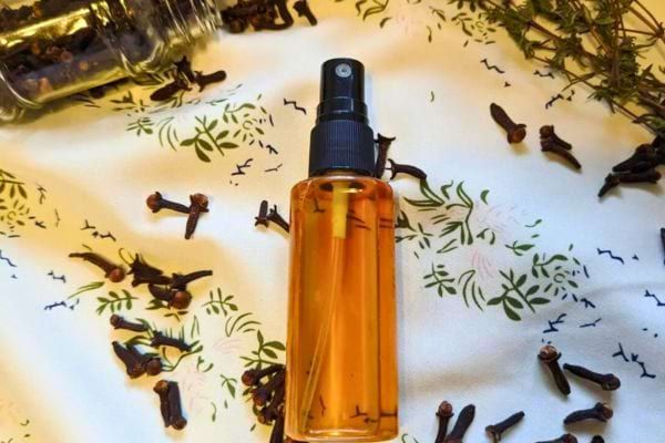 Spray DIY à base d’eau de girofle et d’herbes.