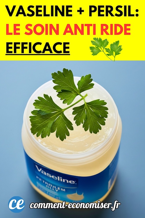 Comment Réduire les Rides Naturellement avec de la Vaseline et du Persil. — free download