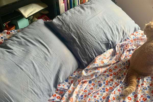 Lit avec housse fleurie, deux oreillers et un chat.