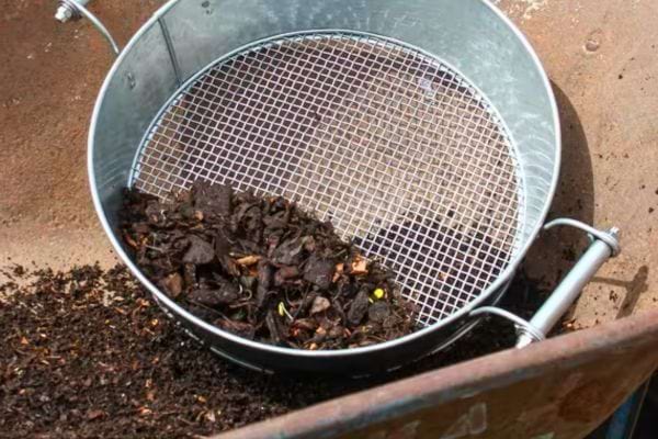 Compost tamisé dans une passoire