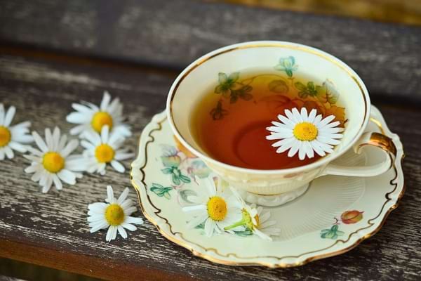 Tisane de camomille servie dans une tasse fleurie avec des marguerites.